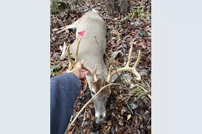 3222 Fm1254, Mineola, TX 75773 - Photo 20