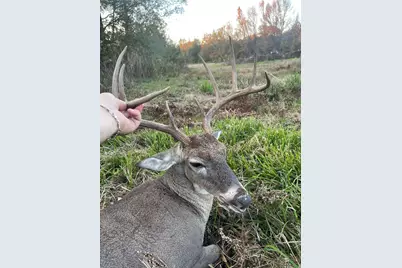 3222 Fm1254, Mineola, TX 75773 - Photo 18