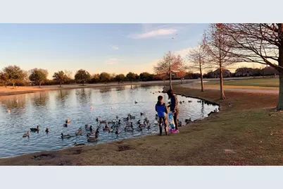 907 Ozark Drive, Allen, TX 75002 - Photo 38