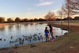 907 Ozark Dr, Allen, TX 75002 - Photo 38