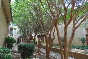 12806 Midway Rd, Dallas, TX 75244 - Photo 4