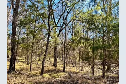 Tbd Rs County Road 3500, Emory, TX 75440 - Photo 8