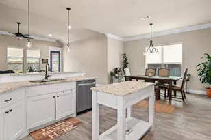 229 Jacinth Ln, Granbury, TX 76049 - Photo 14