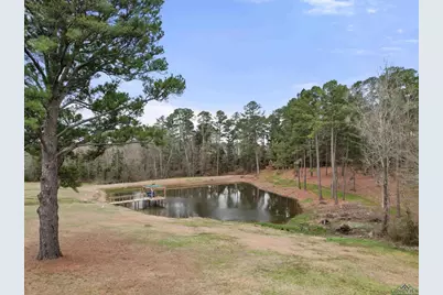 5466 Glenwood Drive, Gilmer, TX 75645 - Photo 8