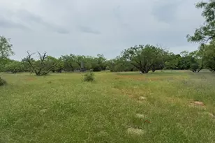 12550 Co Rd 136, Breckenridge, TX 76470 - Photo 10