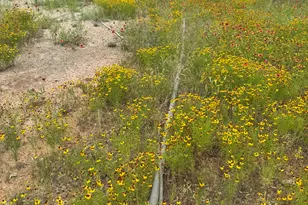 12550 Co Rd 136, Breckenridge, TX 76470 - Photo 14