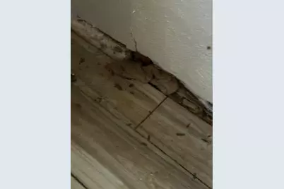 6516 Rock Canyon Trail, Dallas, TX 75232 - Photo 12