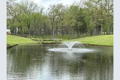 115 Hilton Head Island Drive, Mabank, TX 75156 - Photo 38