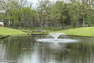 115 Hilton Head Island Dr, Mabank, TX 75156 - Photo 38