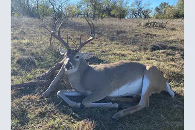 360 County Road 199, Mullin, TX 76864 - Photo 2