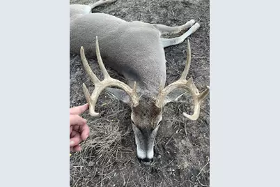 360 County Road 199, Mullin, TX 76864 - Photo 26