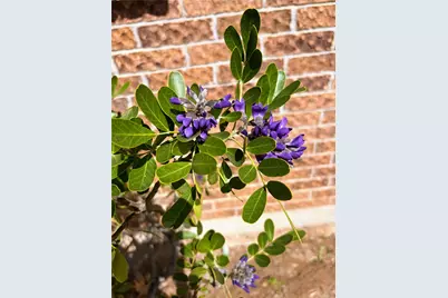 742 Kiowa Drive W, Gainesville, TX 76240 - Photo 20