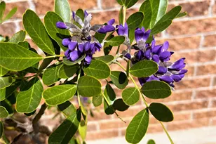 742 Kiowa Dr W, Gainesville, TX 76240 - Photo 20