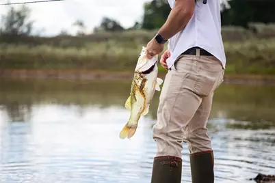 Tbd County Road 155, Nixon, TX 78125 - Photo 16