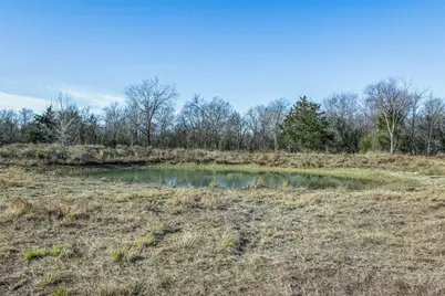 Tract 2 County Road 386, Groesbeck, TX 76642 - Photo 8