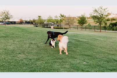 14201 Overlook Park Drive, Fort Worth, TX 76008 - Photo 34