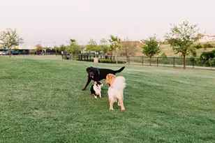 14201 Overlook Park Dr, Fort Worth, TX 76008 - Photo 34