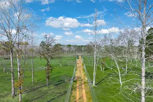 [Address not provided], Jacksonville, TX 75766 - Photo 34