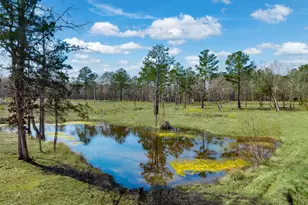 [Address not provided], Jacksonville, TX 75766 - Photo 38