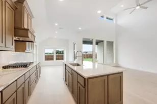 249 Fireberry Dr, Glenn Heights, TX 75154 - Photo 16