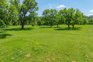 10008 Orchards Blvd, Cleburne, TX 76033 - Photo 38