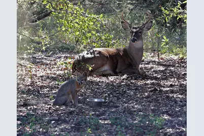 1642 County Road 234, Hico, TX 76457 - Photo 40