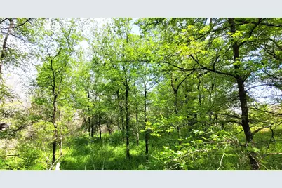 397 Clubhouse Drive, Joshua, TX 76058 - Photo 6