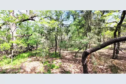 397 Clubhouse Drive, Joshua, TX 76058 - Photo 4