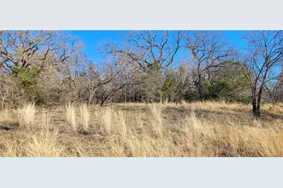 397 Clubhouse Drive, Joshua, TX 76058 - Photo 18