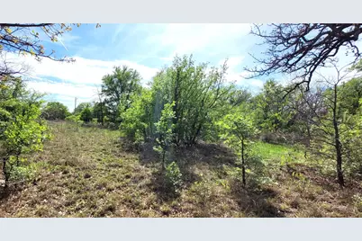 397 Clubhouse Drive, Joshua, TX 76058 - Photo 4