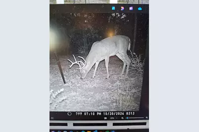 871 Vz County Road 1913, Fruitvale, TX 75127 - Photo 40