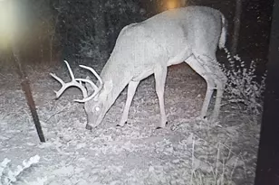 871 Vz County Road 1913, Fruitvale, TX 75127 - Photo 40