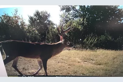 4025 County Road 175, Stephenville, TX 76401 - Photo 18