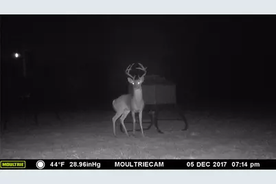 4025 County Road 175, Stephenville, TX 76401 - Photo 8