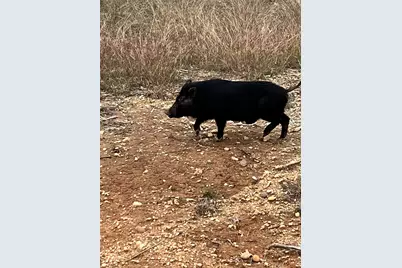 4025 County Road 175, Stephenville, TX 76401 - Photo 6