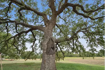 298 Townson, Dublin, TX 76446 - Photo 38