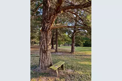 3820 County Road 4930, Quitman, TX 75783 - Photo 36