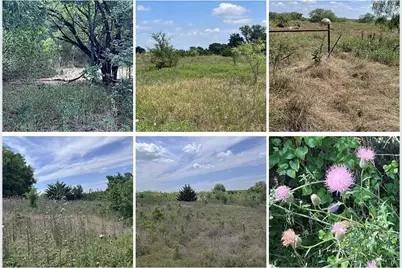 Tbd Hcr 2446, Hillsboro, TX 76645 - Photo 6