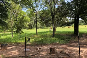 3640 Van Zandt County Rd, Ben Wheeler, TX 75754 - Photo 32