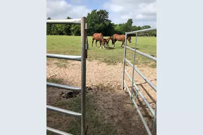 3640 Van Zandt County Road, Ben Wheeler, TX 75754 - Photo 10