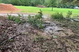 3640 Van Zandt County Rd, Ben Wheeler, TX 75754 - Photo 18