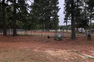 3640 Van Zandt County Rd, Ben Wheeler, TX 75754 - Photo 8