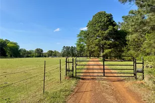 3640 Van Zandt County Rd, Ben Wheeler, TX 75754 - Photo 34