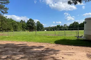 3640 Van Zandt County Rd, Ben Wheeler, TX 75754 - Photo 14