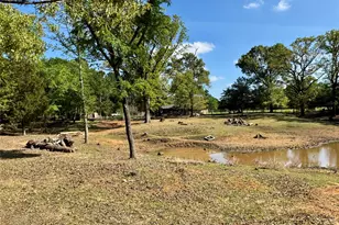 3640 Van Zandt County Rd, Ben Wheeler, TX 75754 - Photo 18