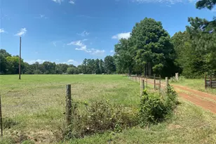 3640 Van Zandt County Rd, Ben Wheeler, TX 75754 - Photo 16