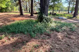 3640 Van Zandt County Rd, Ben Wheeler, TX 75754 - Photo 26