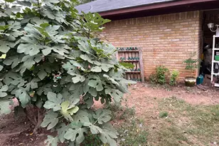 3640 Van Zandt County Rd, Ben Wheeler, TX 75754 - Photo 4