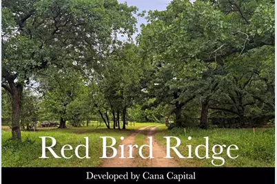 1130 Redbird Grove Road, Argyle, TX 76226 - Photo 8