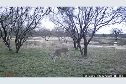 517 County Road 167, Eastland, TX 76448 - Photo 36